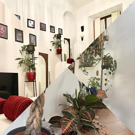 Accommodatie bij particulieren La Stanza Della Giungla *