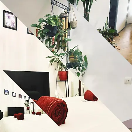 La Stanza Della Giungla Homestay *